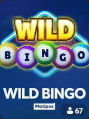 Wild Bingo BC Game Myanmar game cover