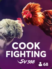 Cock Fighting BC Game Myanmar game cover